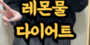 레몬물 다이어트 방법