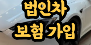 법인자동차 보험 가입