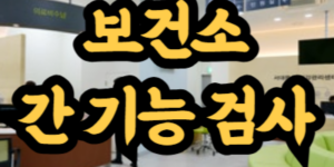 보건소 간기능 검사 비용