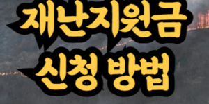 산불 피해 재난지원금 신청