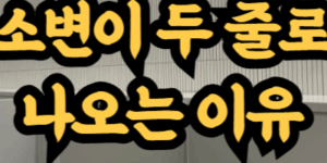 소변 두 줄로 나오는 증상