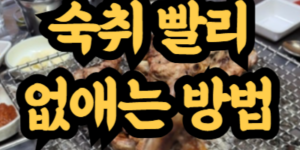 숙취 빨리 없애는 방법