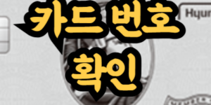 실물 카드 없이 카드 번호 확인
