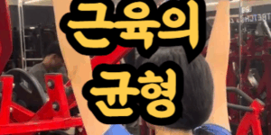 일상에서 사용되는 근육