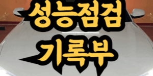 중고차 성능점검기록부 조회
