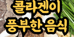 콜라겐이 풍부한 음식