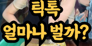 틱톡 수익 창출 조건