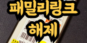 패밀리링크 몰래 해제하는 방법