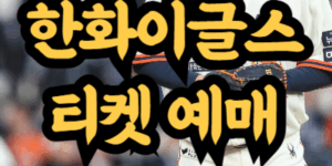 한화이글스 티켓 예매