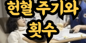 헌혈의 종류와 기본 주기