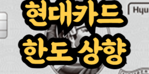 현대카드 한도 상향
