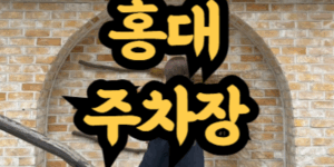 홍대 평일 주말 주차