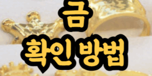 금인지 아닌지 집에서 확인