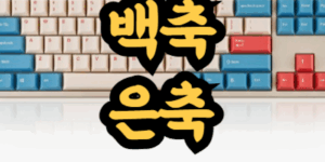기계식 키보드 백축 은축