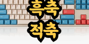 기계식 키보드 흑축 적축