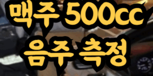 맥주 500cc 음주 측정