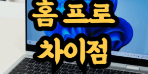 윈도우 홈 프로